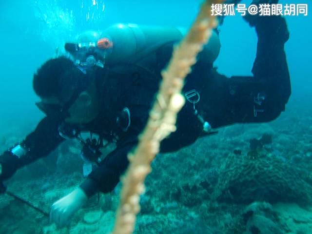 《大宅门》：白玉婷不肯与万筱菊共处一室，背后原来有惊人秘密！
